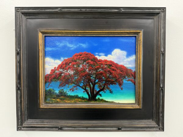 Poinciana